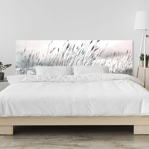 timalo Kopfteil fürs Bett 200 x 58 cm | See Schilf Pampasgras, Natur, Sonnenuntergang | Bettrückwand Acrylglas – 2 mm – Wandpaneel & Wandschutz für Schlafbereich Kopfende von timalo
