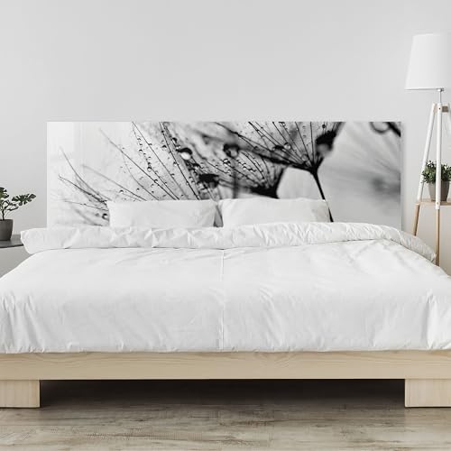 timalo Kopfteil fürs Bett 220 x 58 cm | Schwarze Pusteblume Regentropfen, Tau | Bettrückwand aus Acrylglas Acryl wie Glas – Wandschutz & Wandpaneel Schlafzimmer, Kopfende von timalo