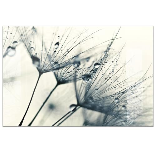 timalo Küchenbild aus Acrylglas modernes Wandbild Glasbild Deko Küche XXL Acryl-Bild wie Glas | 120x80cm Löwenzahn Regen Pusteblumen von timalo