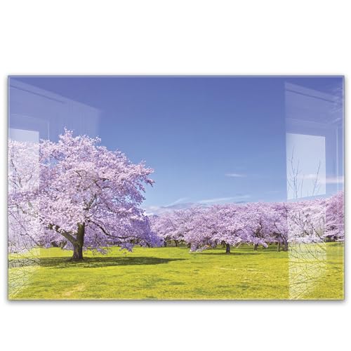 timalo Küchenbild aus Acrylglas modernes Wandbild Glasbild Deko Küche XXL Bild wie Glas | 60x40cm Landschaft Bäume, Natur, Kirschblüten von timalo