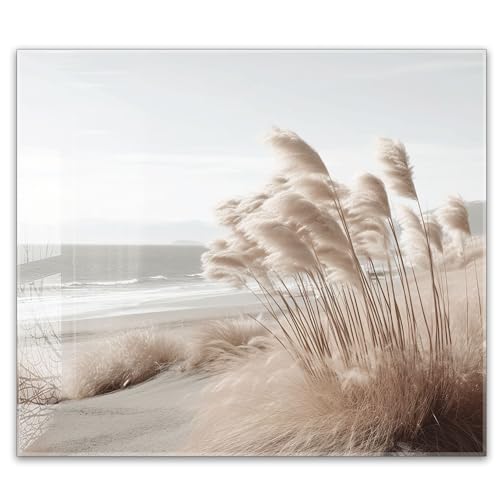 timalo Küchenbild aus Acrylglas modernes Wandbild Glasbild Deko Küche XXL Bild wie Glas | 60x52cm Natur & Strand – Pampasgras, Meer, Sanddünen, Beige Töne, Boho timalo Küchenbild aus Acrylglas modernes Wandbild Glasbild Deko Küche XXL Bild wie Glas | 60x52cm Natur & Strand – Pampasgras, Meer, Sanddünen, Beige Töne, Boho von timalo