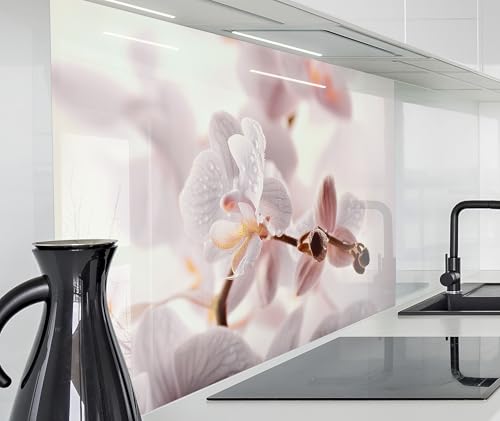 timalo Spritzschutz Wand für Herd, Küche Küchenrückwand Glasoptik | Acryl Glas 2mm | Glasrückwand Acrylglas Wandpaneele Rückwandschutz Platte | 220x58cm Orchideen von timalo