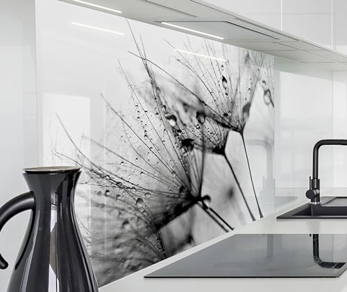timalo Spritzschutz Wand für Herd, Küche Küchenrückwand Glasoptik | Acryl Glas 2mm | Glasrückwand Acrylglas Wandpaneele Rückwandschutz Platte | 60x52cm Löwenzahn schwarz Weiss timalo Spritzschutz Wand für Herd, Küche Küchenrückwand Glasoptik | Acryl Glas 2mm | Glasrückwand Acrylglas Wandpaneele Rückwandschutz Platte | 60x52cm Löwenzahn schwarz Weiss von timalo