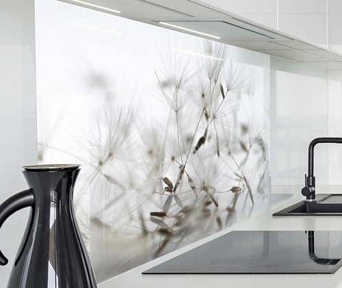 timalo Spritzschutz Wand für Herd, Küche Küchenrückwand Glasoptik | Acryl Glas 2mm | Glasrückwand Acrylglas Wandpaneele Rückwandschutz Platte | 80x60cm Löwenzahn von timalo