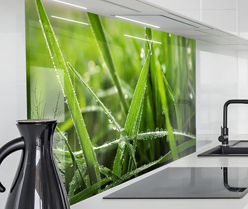 timalo Spritzschutz Wand für Herd, Küche Küchenrückwand Glasoptik | Acryl Glas 2mm | Glasrückwand Acrylglas Wandpaneele Rückwandschutz Platte | 100x50cm Gras mit Regentropfen von timalo