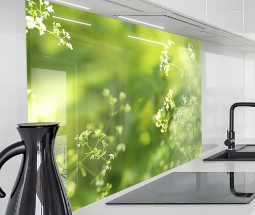 timalo Spritzschutz Wand für Herd, Küche Küchenrückwand Glasoptik | Acryl Glas 2mm | Glasrückwand Acrylglas Wandpaneele Rückwandschutz Platte | 60x40cm Grüne Kräuter Natur von timalo