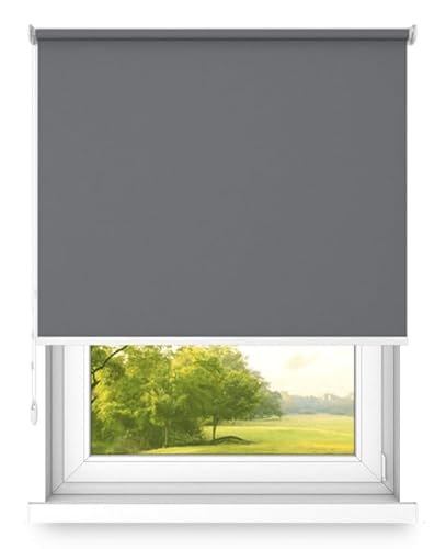 time4blinds Rollos Verdunkelungsrollo Freihängendes Rollo ohne Kassette Wand- oder Deckenmontage Großes Format UV-Schutz Thermische Eigenschaften Solides Design 190x220 cm Hellanthrazit - Links von time4blinds