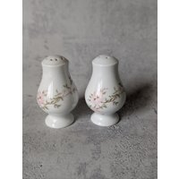 Salz - Und Pfefferstreuer Von Limoges Bernadaud France Sammlerporzellan Vitrinenstück von tinaslandhaus