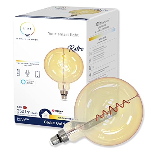 tint Smarte LED-Globe Retro Gold XXL E27 – Steuerbar per Alexa oder Fernbedienung – Dimmbare E27 Glühbirne mit weißem Licht (1800-6500 K), 4,9 W von tint