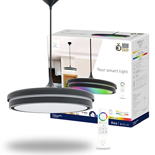 tint Smarte LED-Pendelleuchte KEA – Steuerbar per Alexa oder Fernbedienung – Dimmbare Beleuchtung mit weißem (1800-6500 K), farbigem RGB und indirektem Licht, 22 W – Ø 42 cm von tint