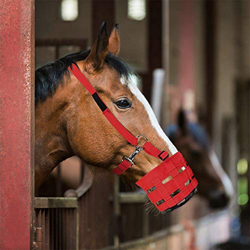 Pferdemaulkorb Easy Breathe für Pferdesel, Rot, Größe L von tooloflife
