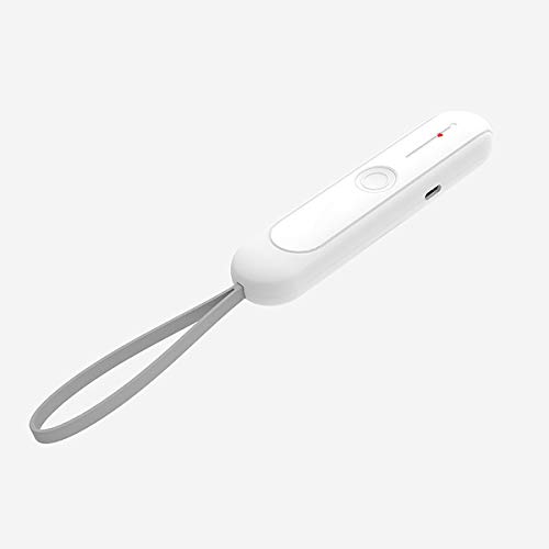 UV Lampe, Tragbare UV-Lampe, UVC Lampe Effekt Bis, Tragbare Ultraviolett UVC Desinfektions Handlampe, Tötet Keime Viren Bakterien für zu Hause, Kleidung, Hotel, persönliche Desinfektion von tooloflife
