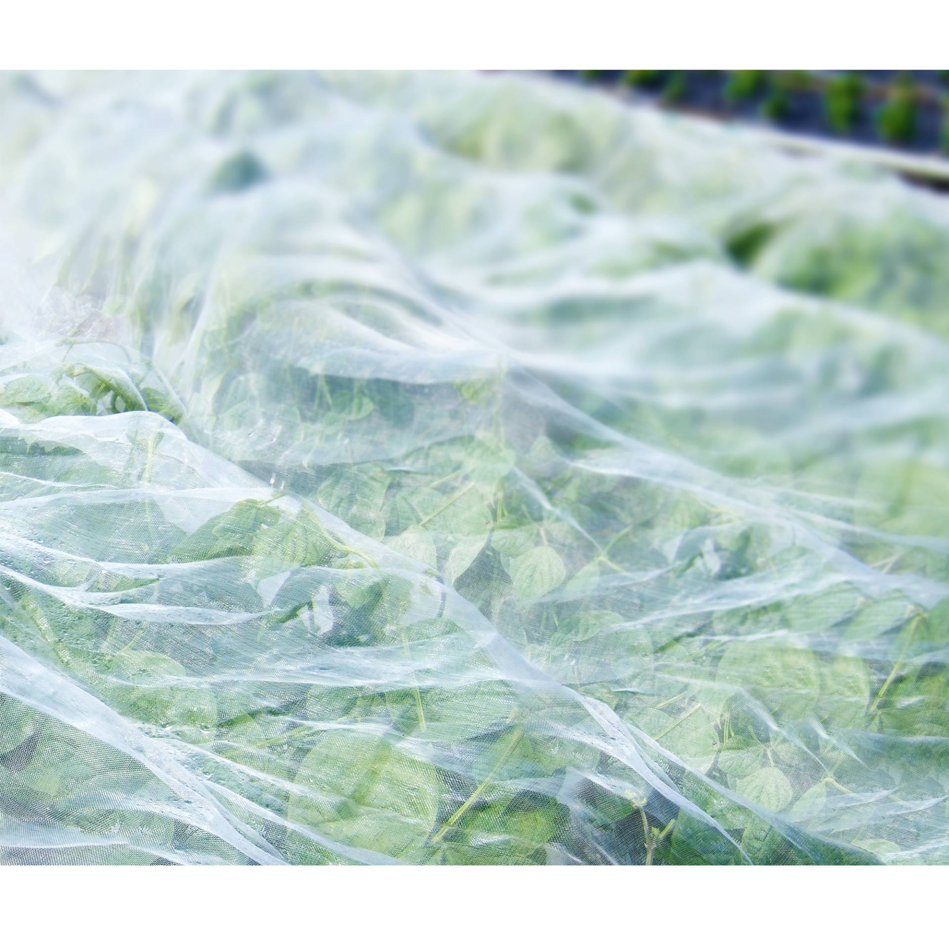 toom Insektenschutznetz, 5 x 2 m von toom