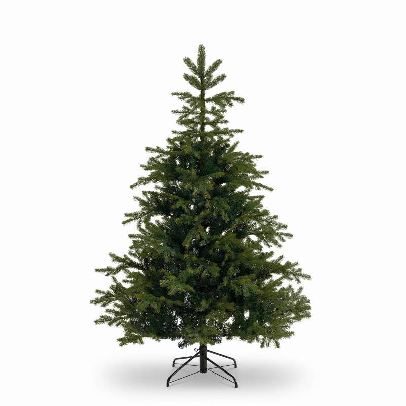 toom Künstlicher Weihnachtsbaum 'Fernie' dunkelgrün 215 cm von toom