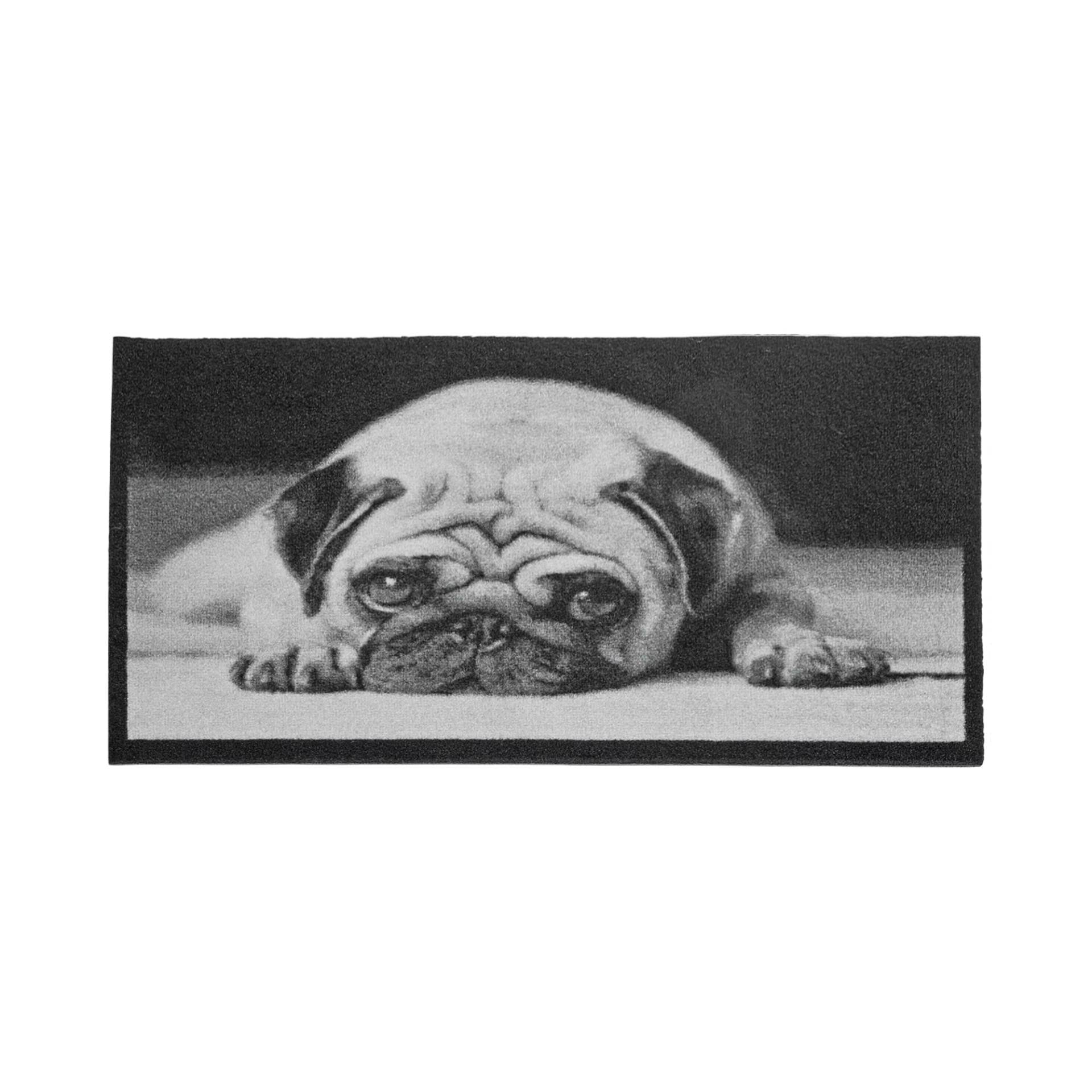 toom Sauberlaufmatte 'Mops' 58 x 39 cm toom Sauberlaufmatte 'Mops' 58 x 39 cm von toom
