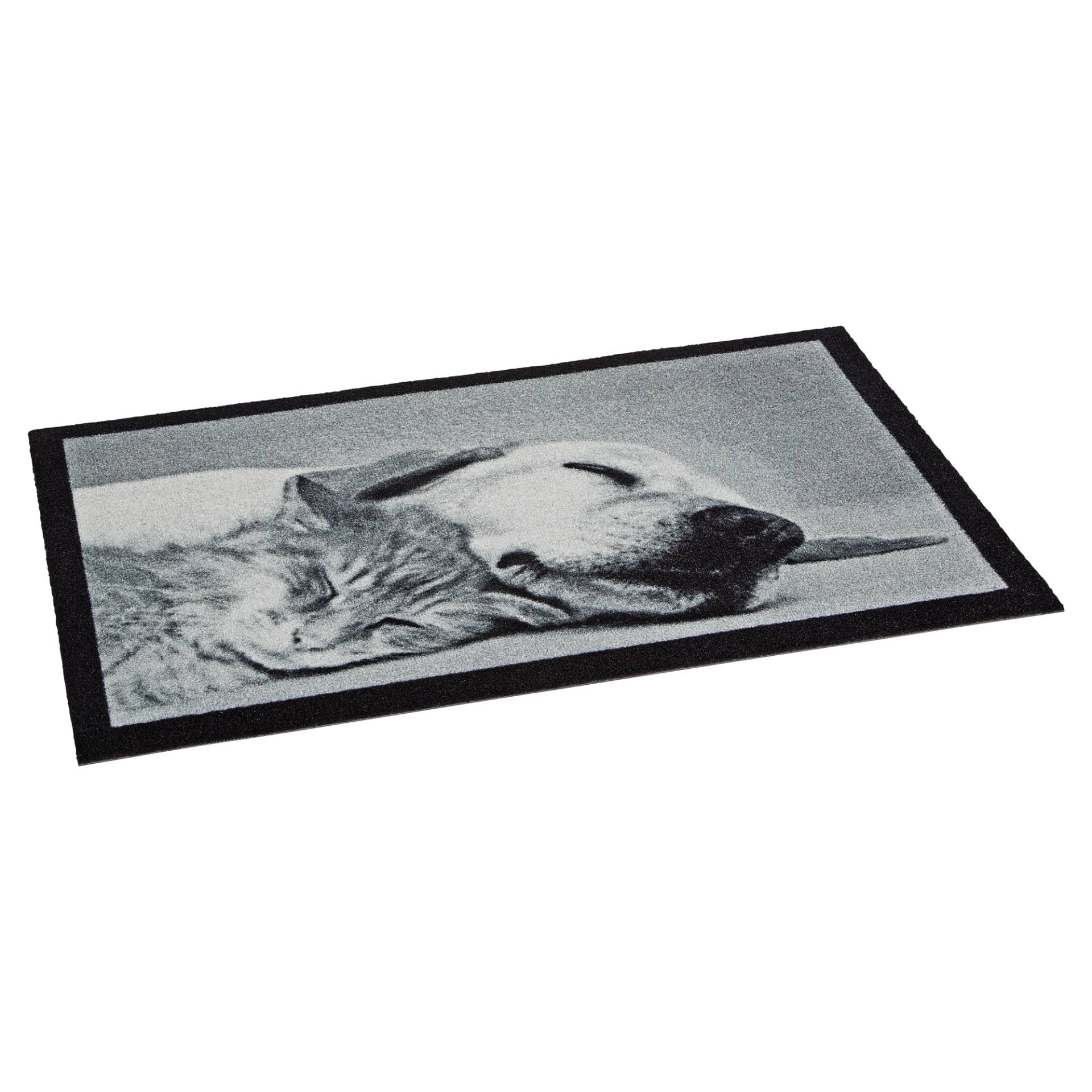 toom Sauberlaufmatte 'schlafender Hund' 58 x 39 cm toom Sauberlaufmatte 'schlafender Hund' 58 x 39 cm von toom