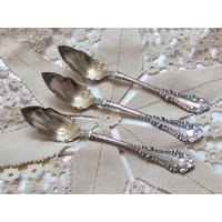 Berkshire Muster 1897 // 3Er Set Frucht-Grapefruit-Silberbesteck Besteck Mono N von totalvintage