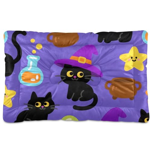 Hundebett, Motiv: niedliche schwarze Katzen für Halloween, waschbar, weich, rutschfest, für große, mittelgroße und kleine Hunde, 91,4 x 61 cm von tplaotee