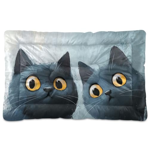 tplaotee Chartreux Katzenbett, waschbar, rutschfest, weich, bequem, für große, mittelgroße und kleine Hunde, 91,4 x 61 cm tplaotee Chartreux Katzenbett, waschbar, rutschfest, weich, bequem, für große, mittelgroße und kleine Hunde, 91,4 x 61 cm von tplaotee