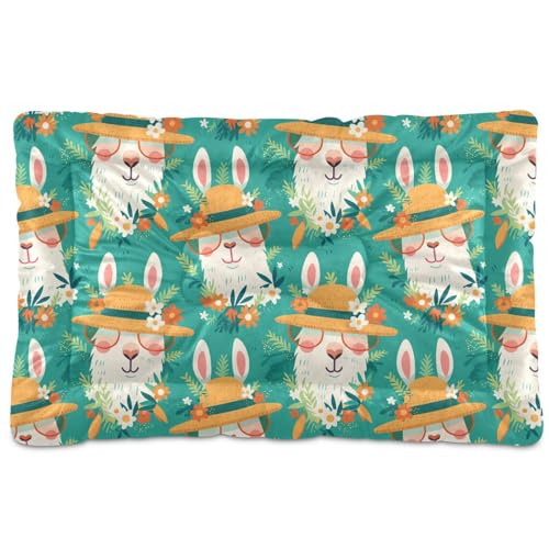 tplaotee Sommer-Schlafmatte, waschbar, weich, rutschfest, für mittelgroße und große Hunde, 91,4 x 61 cm, Alpaka-Grün tplaotee Sommer-Schlafmatte, waschbar, weich, rutschfest, für mittelgroße und große Hunde, 91,4 x 61 cm, Alpaka-Grün von tplaotee