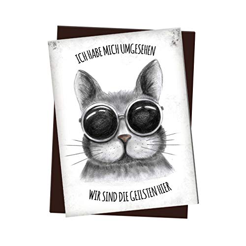 Kühlschrankmagnet mit Katze Motiv und Spruch: Ich Habe Mich umgesehen - wir sind die geilsten Hier von trendaffe