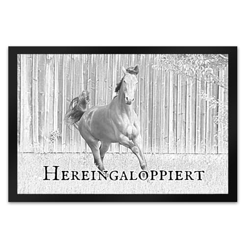 trendaffe Hereingaloppiert Fussmatte mit Pferd für jeden Pferdeliebhaber EIN Muss Reiter Schuhabstreifer mit Pferde-Motiv in grau trendaffe Hereingaloppiert Fussmatte mit Pferd für jeden Pferdeliebhaber EIN Muss Reiter Schuhabstreifer mit Pferde-Motiv in grau von trendaffe