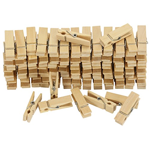 Holzwäscheklammern Set klein 100 Stück Buchenholz Bastelklammern 4,5 cm lang / 1,2cm breit mit Feder von trendmarkt24