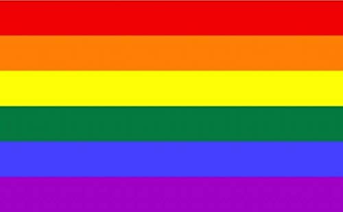 Qualitäts Fahne Flagge Regenbogen Rainbow 90 x 150 cm mit verstärktem Hissband von trends4cents