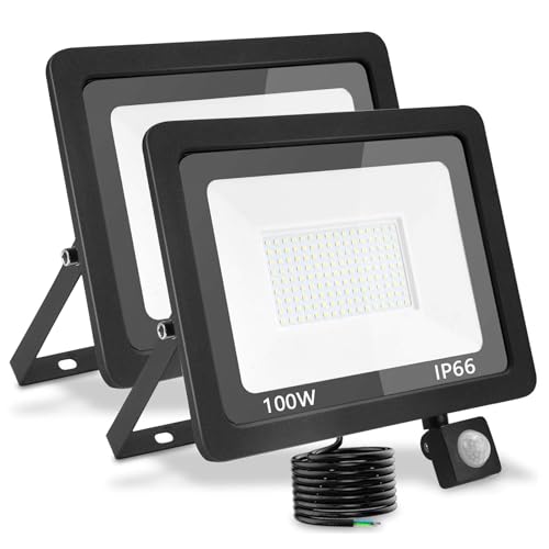 treoir LED Strahler mit Bewegungsmelder Außen 100W, Superhell 10000LM Led Außenstrahler 6000K LED Fluter Flutlicht, IP66 Wasserdicht LED Scheinwerfer für Garten,Garage,Hof(Kaltes Weiß-2pcs,100W) von treoir