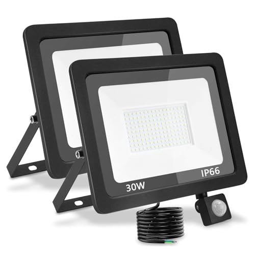 treoir LED Strahler mit Bewegungsmelder Außen 30W, Superhell 3000LM Led Außenstrahler 6000K LED Fluter Flutlicht, IP66 Wasserdicht LED Scheinwerfer für Garten,Garage,Hof(Kaltes Weiß-2pcs,30W) von treoir