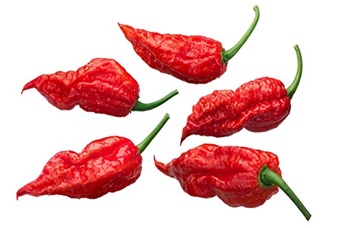 Naga Viper -50 Chili Samen - Schärfegrad: 10 +++ !! von tropical-seeds