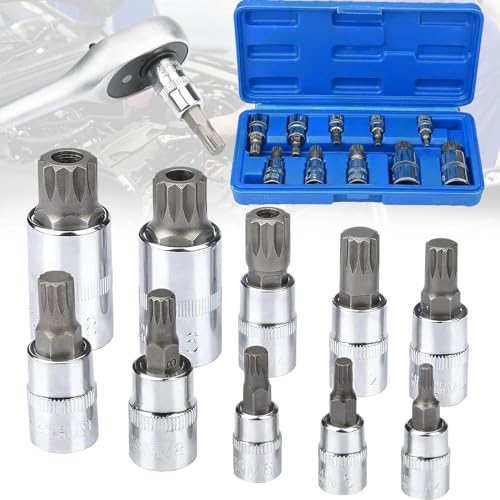 truee 10 Stück Vielzahn Nuss Satz, XZN Vielzahn Stecknuss Schlüssel Set, Bit Vielzahn 1/2" Stecknuss, Torx Nuss Set, Vielzahn Steckschlüsselsatz, M4 / M5 / M6 / M8 / M9 / M10 / M12 / M14 / M16 / M18 von truee