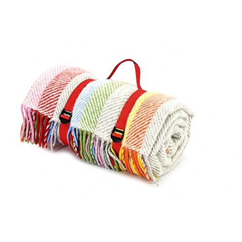 Tweedmill Polo Picknickdecke mit wasserdichter Unterseite, Regenbogengrau gestreift von tweedmill