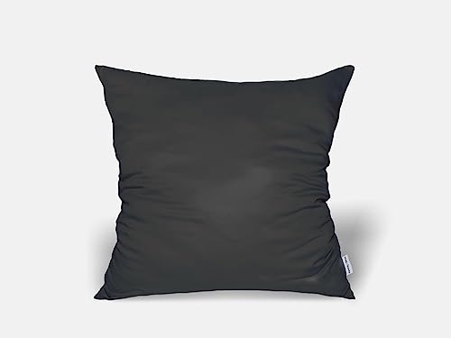 twenty:three® | Kissenbezug (2X) 80x80 cm Jet Black - 100% Tencel™ Lyocell (Lyocellfasern) - Kissenhülle, Kopfkissenbezug, Reißverschluss, Ultraweich, Hochwertig, Ganzjährig von twenty:three