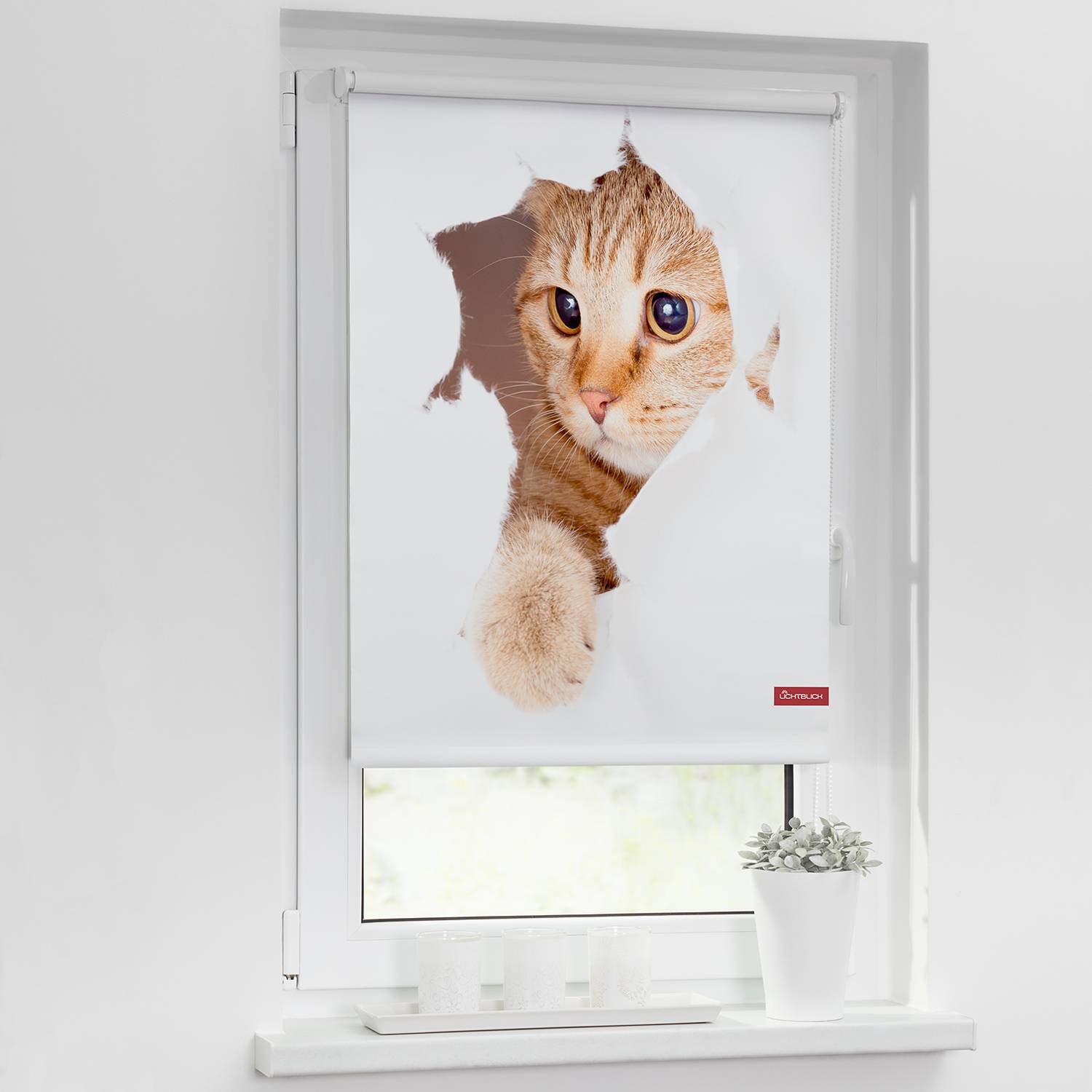 twentyfour Verdunkelungsrollo Katze 60x150 cm (BxH) Weiß/Braun Webstoff von twentyfour