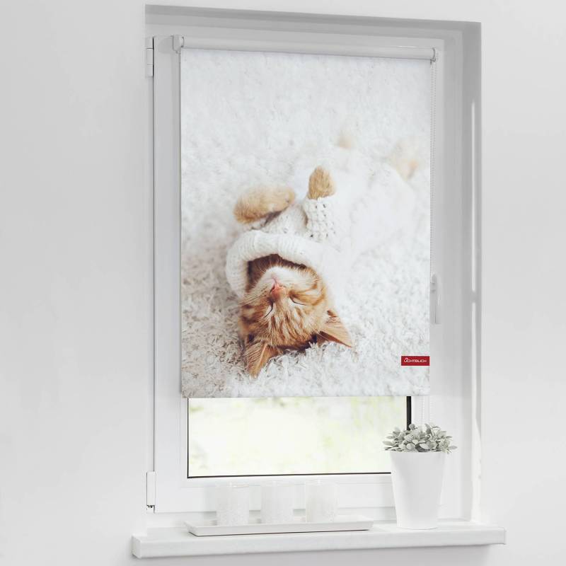 home24 Verdunkelungsrollo Sleepy Cat 80 x 150cm Weiß von home24
