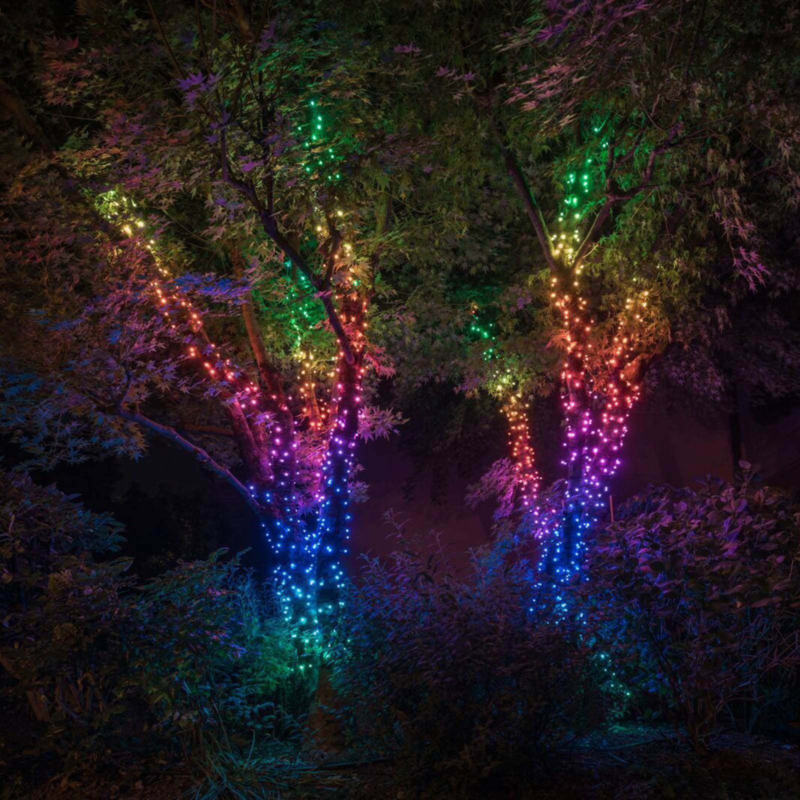 Lichterkette Twinkly RGB, schwarz, 100-flammig 8m von twinkly