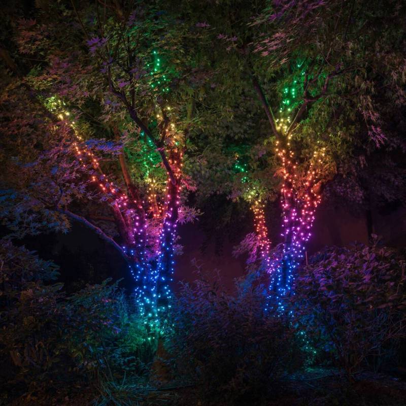 Lichterkette Twinkly RGBW, 250-fl. 20m transparent von twinkly