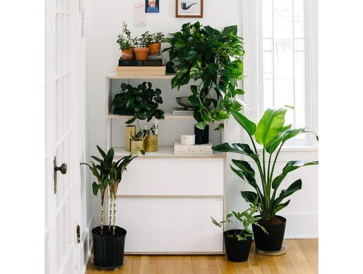 Bücherregal in Weiß mit Schubladen, 85 cm x 133 cm x 32 cm, Vollständig anpassbar von Tylko von tylko