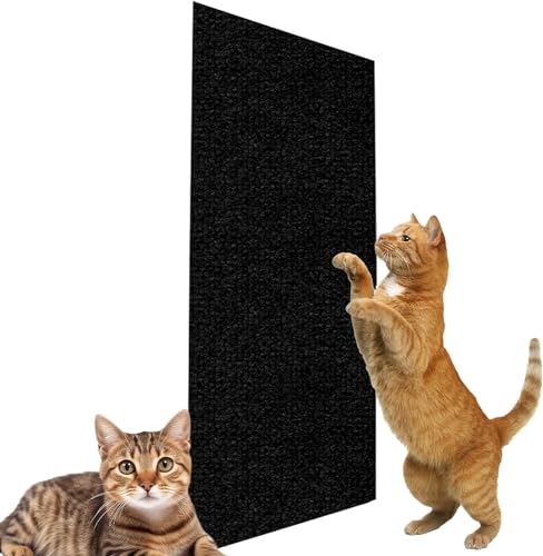 Teppich Katzen Kratzbrett Wand, 60 X 100cm Kratzmatte Katze Katzengras Fertig Gewachsen Katzenteppich Kratzecke Für Katzen (Color : Black, Size : 40 * 100 cm) von tylxayoxa