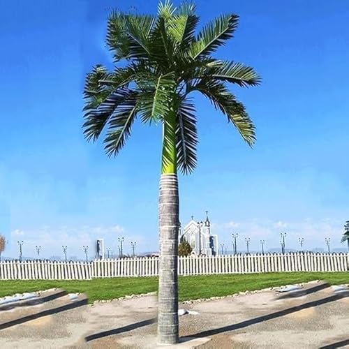 tylxayoxa Künstliche Palme – Gefälschter Baum – Tropische Areca-Bodenpflanze Im Topf – Seidenpflanze for Zuhause, Büro, Wohnzimmer(2m/6.5FT) von tylxayoxa