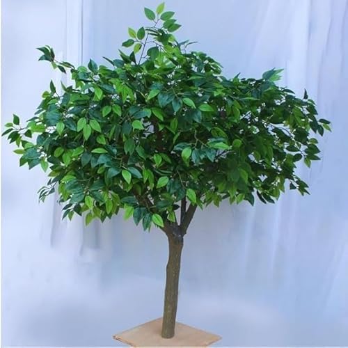 tylxayoxa Simulation Großer Baum Seide Gefälschter Ficusbaum Künstlicher Grüner Banyanbaum Mit Echtem Holzstamm for Das Wohnzimmer Im Innen- Und Außenbereich(2.5mx2m) von tylxayoxa