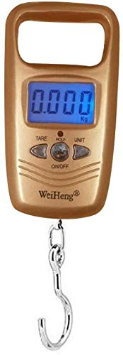 Tragbare Grammwaage, Mini Elektronische Tragbare Waage Angeln Frühling Elektronische Waage Express Gepäck Waage 50 Kg Waagen von uHLANQC