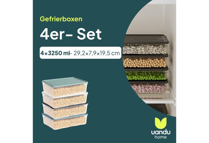 uandu home Frischhaltedose Gefrierbox Set, Frischhaltedosen mit Deckel - 4er Set, BPA-frei, (Deli Container, Gefrierbehälter, Gefrierboxen Organizer), Kühlschrank Organizer, Gefrierschrank Organizer, Gefrierdosen von uandu home