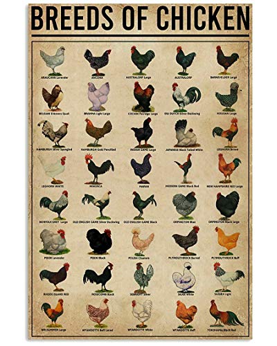 Metallschild mit Aufschrift "Chicken All Breeds of Chicken World Education Science Classroom", tolles Retro-Geschenk und dekoratives Metallschild für Tür, Wand, Schule, Schlafzimmer, Bauernhof Metallschild mit Aufschrift "Chicken All Breeds of Chicken World Education Science Classroom", tolles Retro-Geschenk und dekoratives Metallschild für Tür, Wand, Schule, Schlafzimmer, Bauernhof von uihgcvr