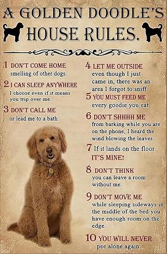 Retro-Blechschilder im Vintage-Stil, Motiv: A Golden Doodle's House Rules Hund, Geschenk, Metallschild, Aluminium, Eisen, Malerei für Zuhause, Wohnzimmer, Männerhöhle, Bar, Garage, Café, Pub, Club Retro-Blechschilder im Vintage-Stil, Motiv: A Golden Doodle's House Rules Hund, Geschenk, Metallschild, Aluminium, Eisen, Malerei für Zuhause, Wohnzimmer, Männerhöhle, Bar, Garage, Café, Pub, Club von uihgcvr