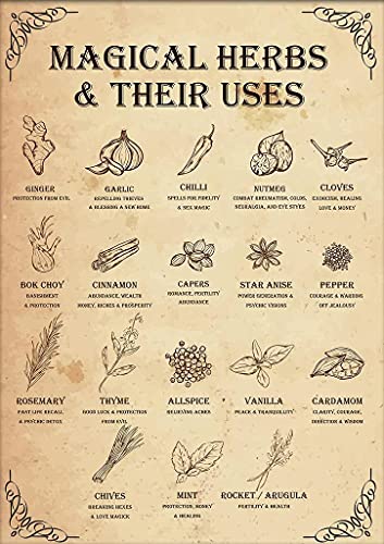 Wither Kitchen Witch Blechschild Magical Herbs And Their Uses Witchy Retro Metal Poster Cafe Bar Pub Home Wall Decoration Poster Plaque 30,5 x 20,3 cm Wither Kitchen Witch Blechschild Magical Herbs And Their Uses Witchy Retro Metal Poster Cafe Bar Pub Home Wall Decoration Poster Plaque 30,5 x 20,3 cm von uihgcvr