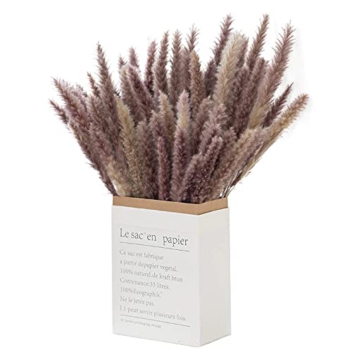30x Getrocknetes Pampasgras Baun extra fluffig echte Trockenblumen in umweltfreundlicher Geschenkverpackung, Länge:42-43cm von ukiyo