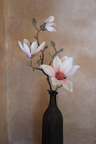 unbekannt Magnolienzweig/Seidenblüten, Magnolien pink/Creme, H 65 cm von unbekannt