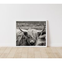 40% Sale Highland Kuh Druck Schwarzweiße Holzrahmen Kunst Wandkunst Bauernhof Tierdruck Dekor Stierdruck Buffal von uniquewoodensigns
